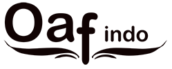 oafindo logo